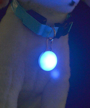 Load image into Gallery viewer, Blue Firefly Collar Pendant