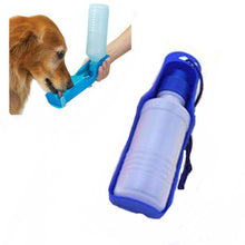 Load image into Gallery viewer, Venice Water Bottle