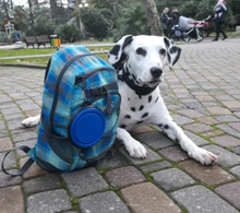 Load image into Gallery viewer, 'Easy-Peasy' Foldable Water Bowl