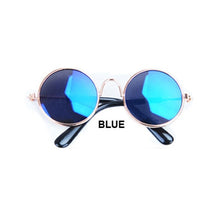 Load image into Gallery viewer, Sunny Honey Dog Glasses