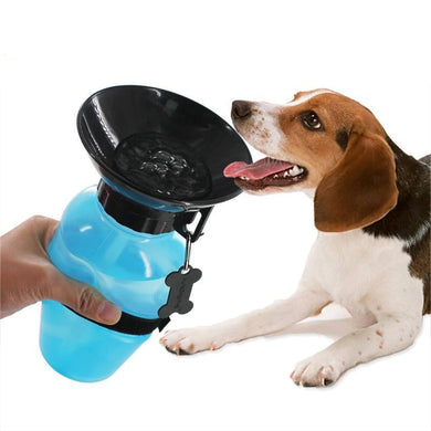 Squeezy Portable Water Bottle